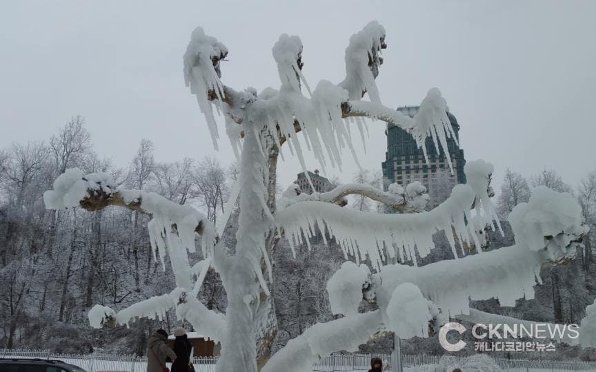 토론토 다시 ‘북극 한파’…  주말 체감온도 영하 30도 '강타'