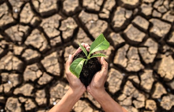 토론토 생태희망연대 '기후위기 심화과정' 세미나 개최