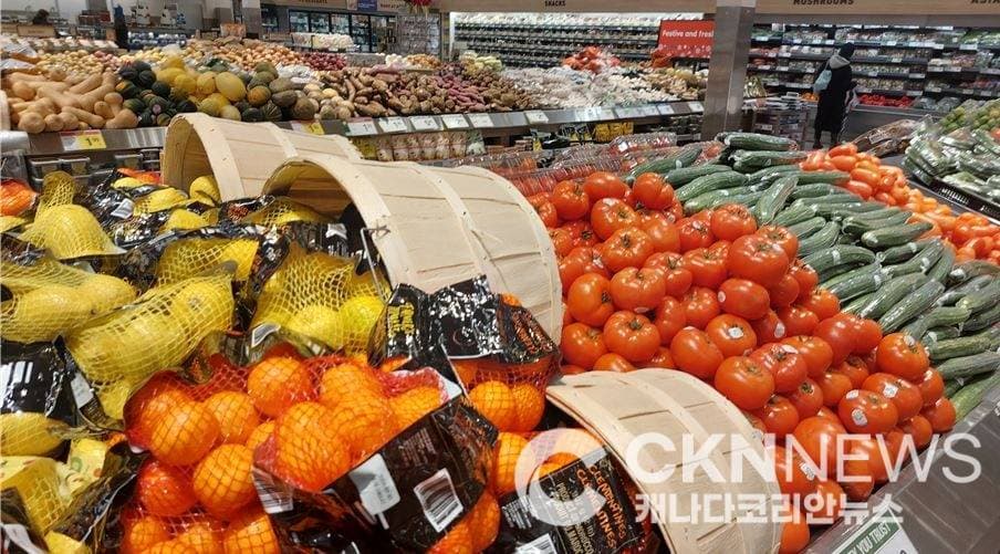 “물가 직접 잡는다”… 토론토시 운영 식료품점’ 설립 추진