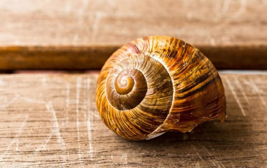 [기고/수필] “우리 엄마 시집가네”