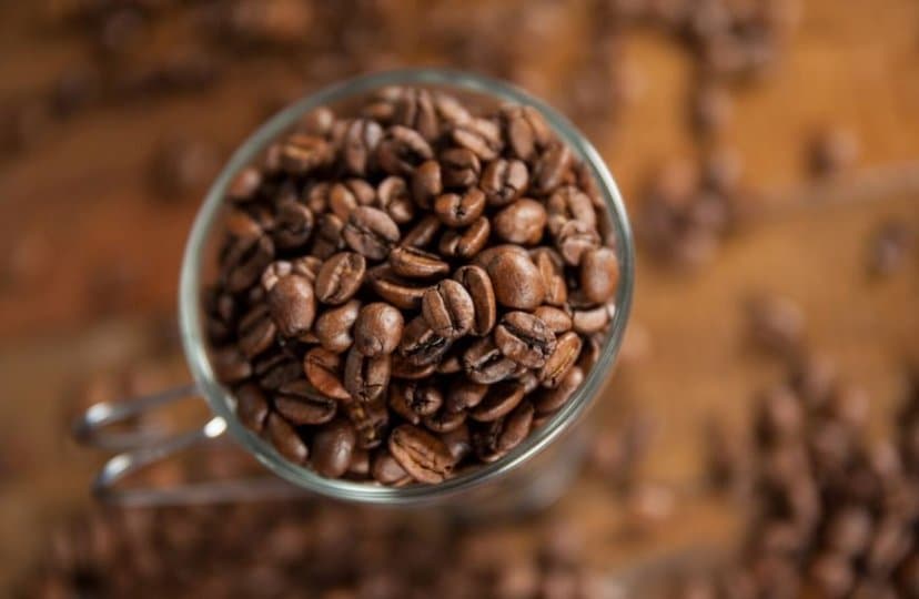 캐나다 커피값 1년 새 31% 급등…기후·관세 이중 압박