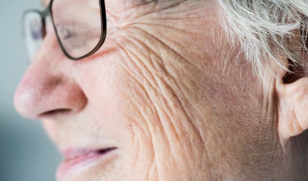 “기생충약이 노화를 늦춘다”…니클로사마이드, 항노화 효과 입증