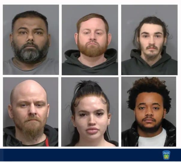 필지역 경찰, 아프리카행 '럭셔리 차량 강도 절도단' 검거