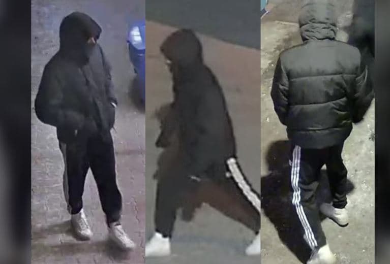 노스욕 차량절도 한인 피습 사건 용의자 공개 수배