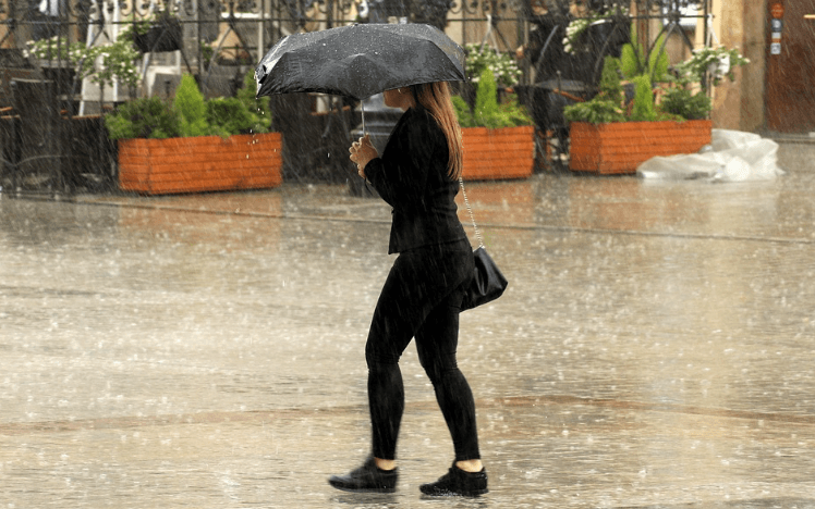 한 달 내릴 비가 하루 만에⋯광역토론토 '침수 피해' 속출