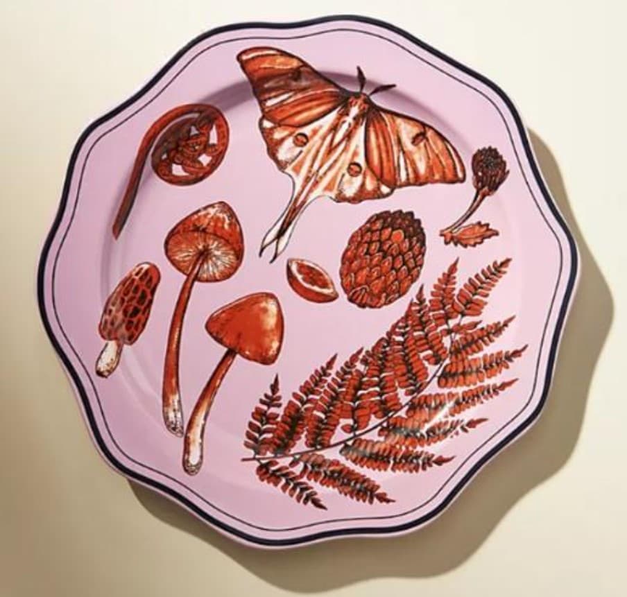 캐나다보건부 '중금속 검출' 그릇 리콜