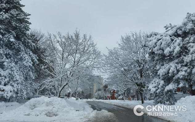 토론토 한파, 이번주 잠시 쉬었다 간다 … 눈 소식은 계속