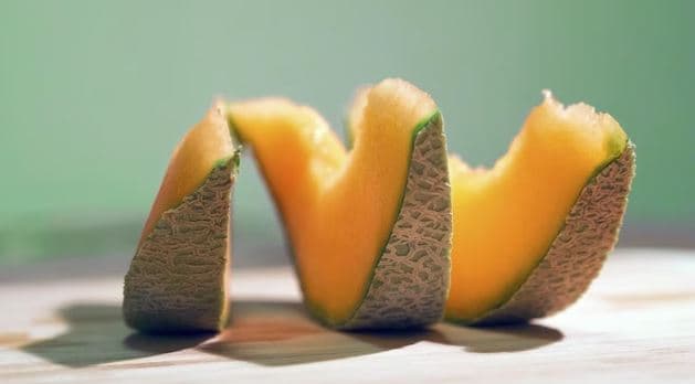 멜론 살모넬라균 감염 캐나다서 6명 사망