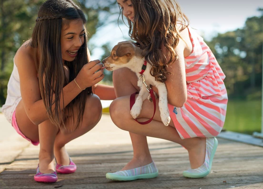 "새로운 만남을 원하면 반려동물을 키우세요"