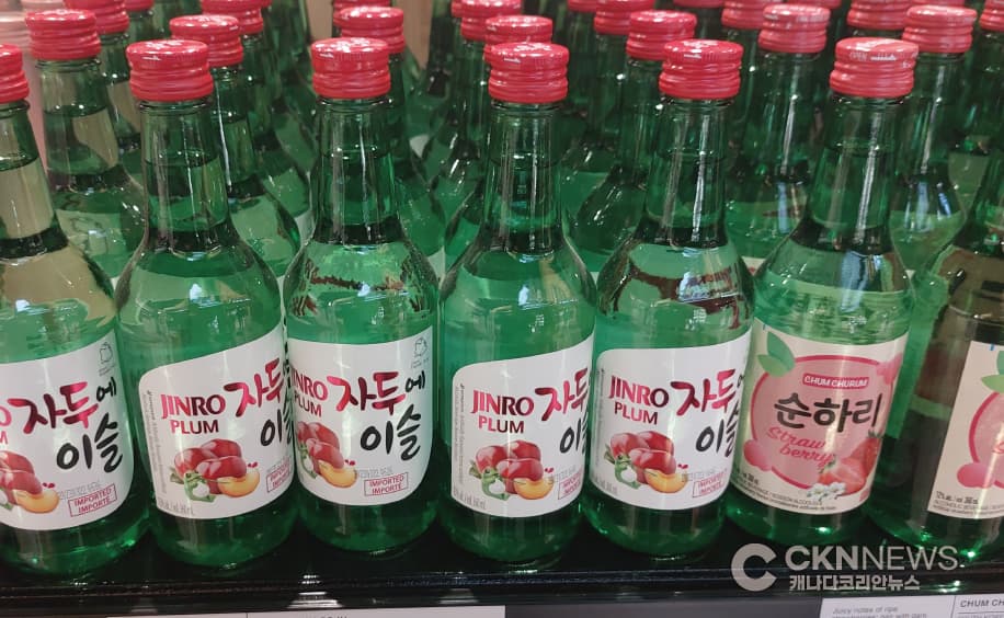 외국인이 선택한 최고의 한국 술은?
