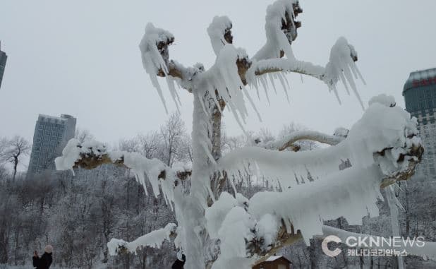 토론토, 1월 내내 '혹한, 눈폭탄'과 싸워야