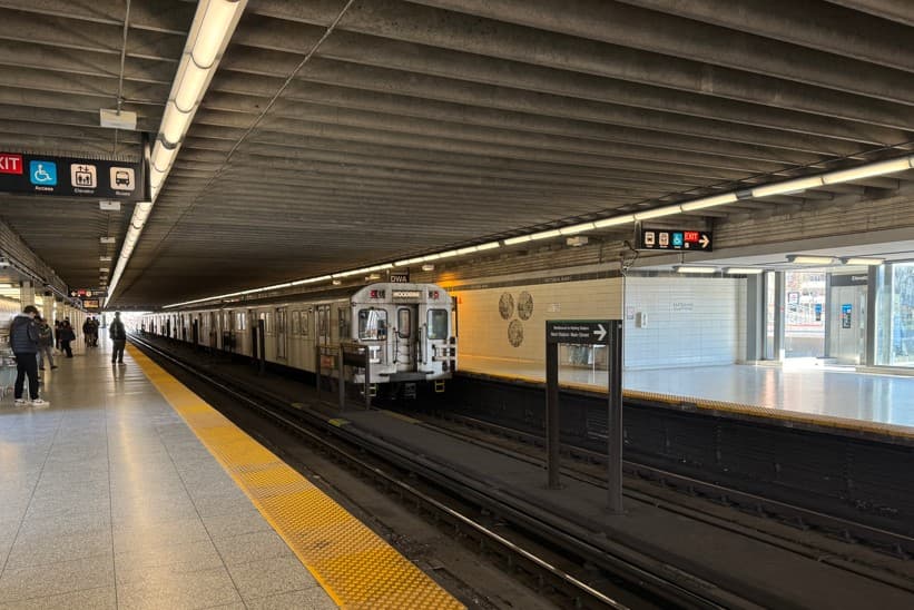 주말 '벚꽃나들이' 토론토 대중교통 안내