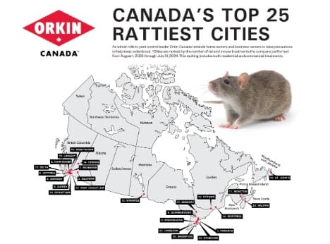 캐나다에서  쥐가 가장 많은 도시 1위는?