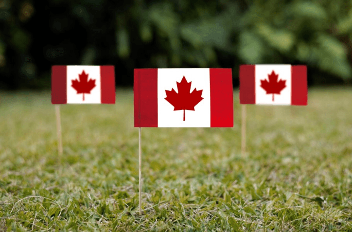 이민성 '캐나다 경험이민' 후보자 6300명 초청