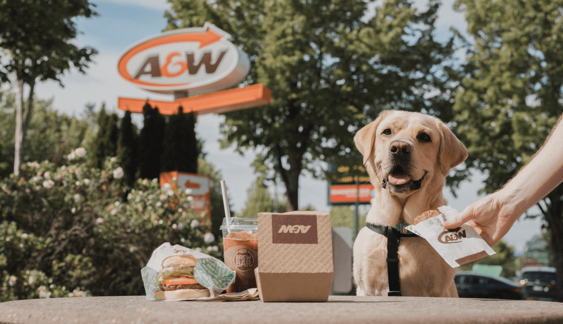 A&amp;W "반려견용 특별간식 한정판매"