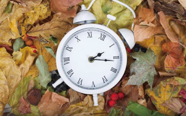 2024 캐나다 서머타임 해제는 언제?