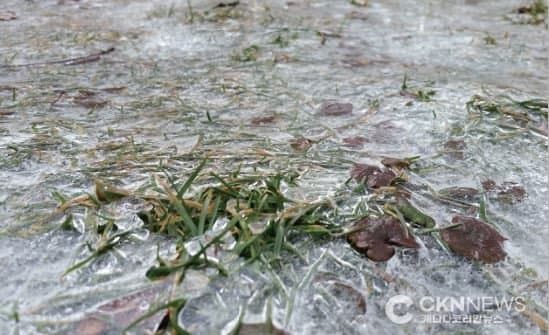 이번 주 토론토 ‘롤러코스터 날씨’… 영하권 추위 뒤 17도 급반등