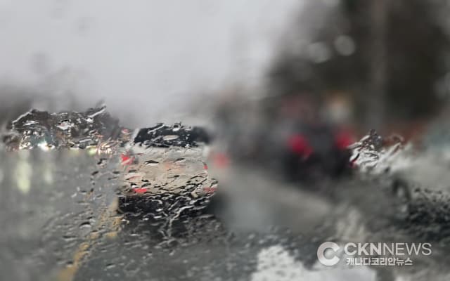 토론토 '눈폭풍 주의보'… 가시거리 급감, 도로 결빙 우려