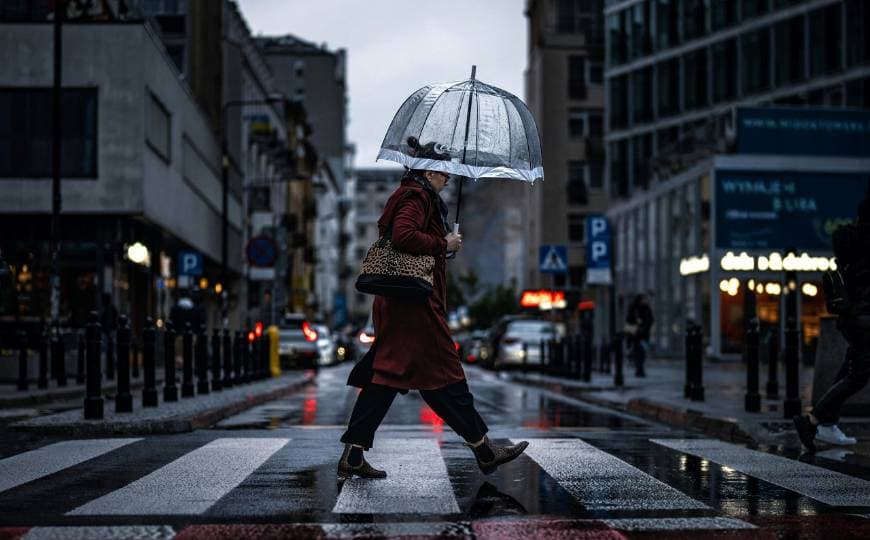 "ํญ์ฐ ๋ค ์ํ๊ถ ์ถ์" ํ ๋ก ํ ยทGTA ๊ธฐ์ํน๋ณด ๋ฐ๋ น