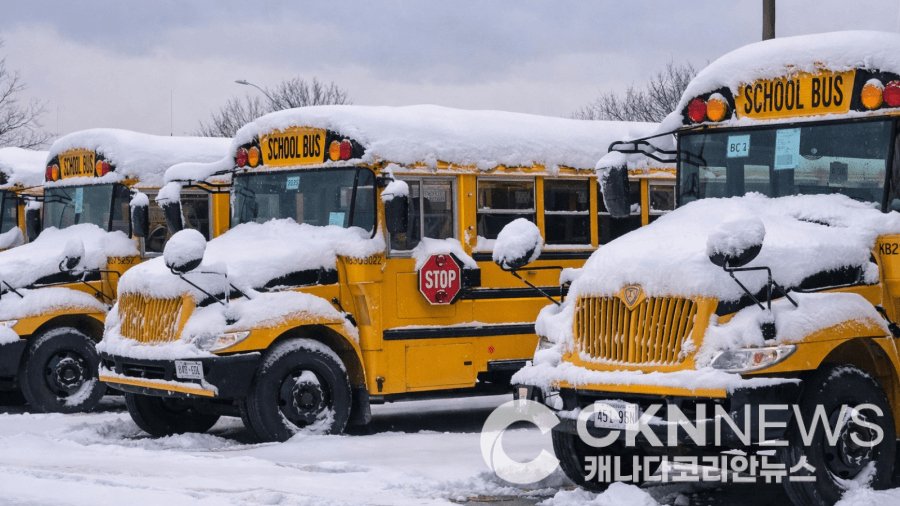 토론토·GTA 대설 경보, 초중고 전면 휴교… 대학은 온라인 전환