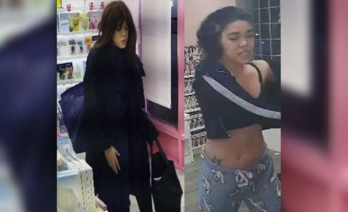 토론토경찰, 최루 분사기 사용 '연쇄·폭행 절도 여성' 공개 수배