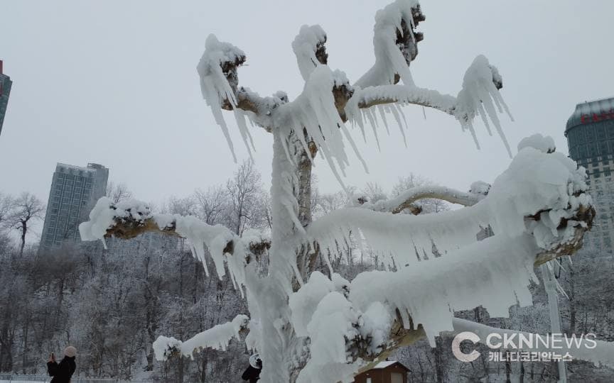 토론토 지독한 한파 다시 온다…체감온도 영하 30도