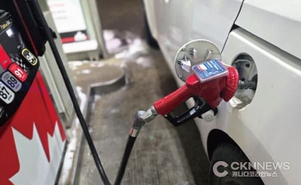 주말 급등 후 수요일 하락… 널뛰는 유가 "언제 기름 넣을까?"