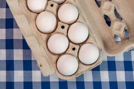 미국 달걀값 폭등, 캐나다는 왜 안정적인가?